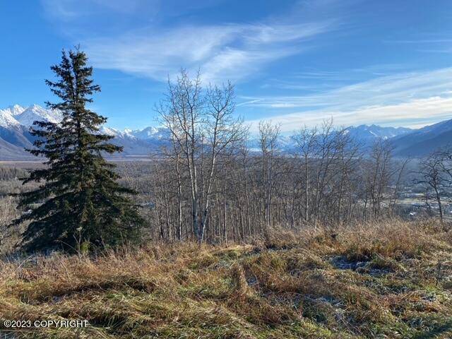 Palmer, AK 99645,15856 Mothershead LN