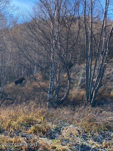 Palmer, AK 99645,15856 Mothershead LN