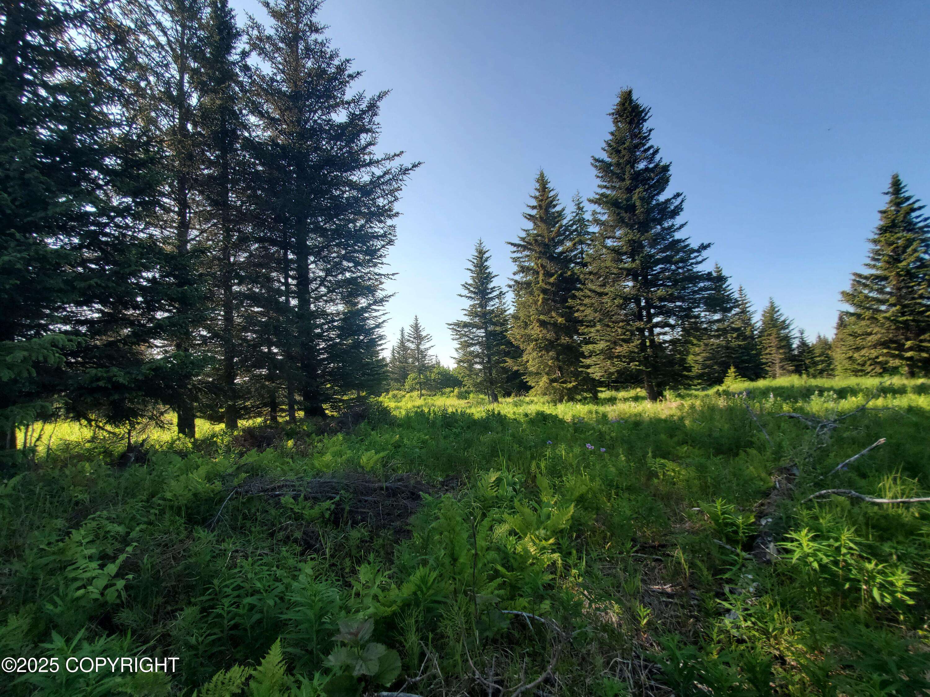 Ninilchik, AK 99639,17435 Chefornak ST