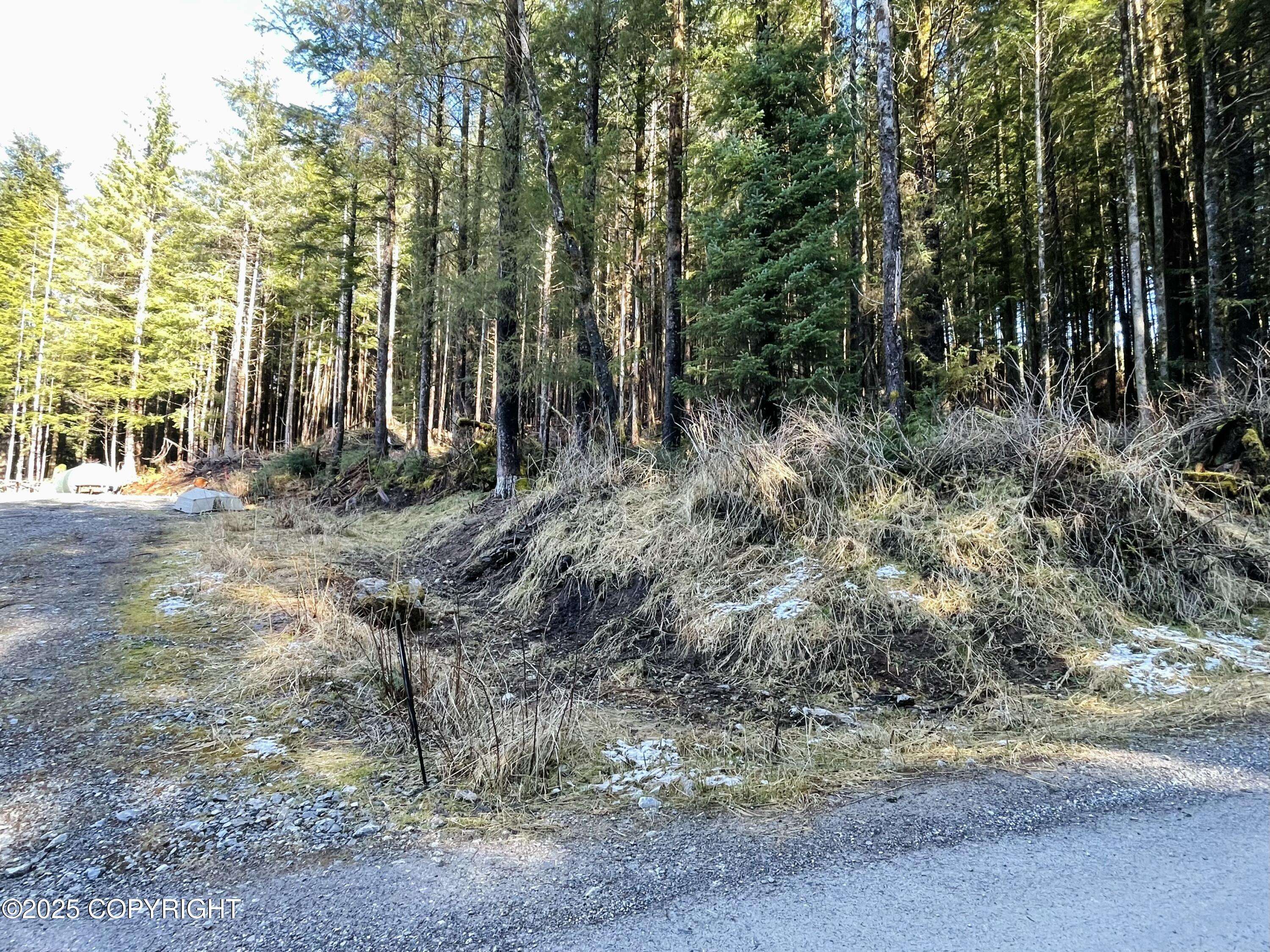 Naukati Bay, AK 99950,L2B9 Huckleberry DR