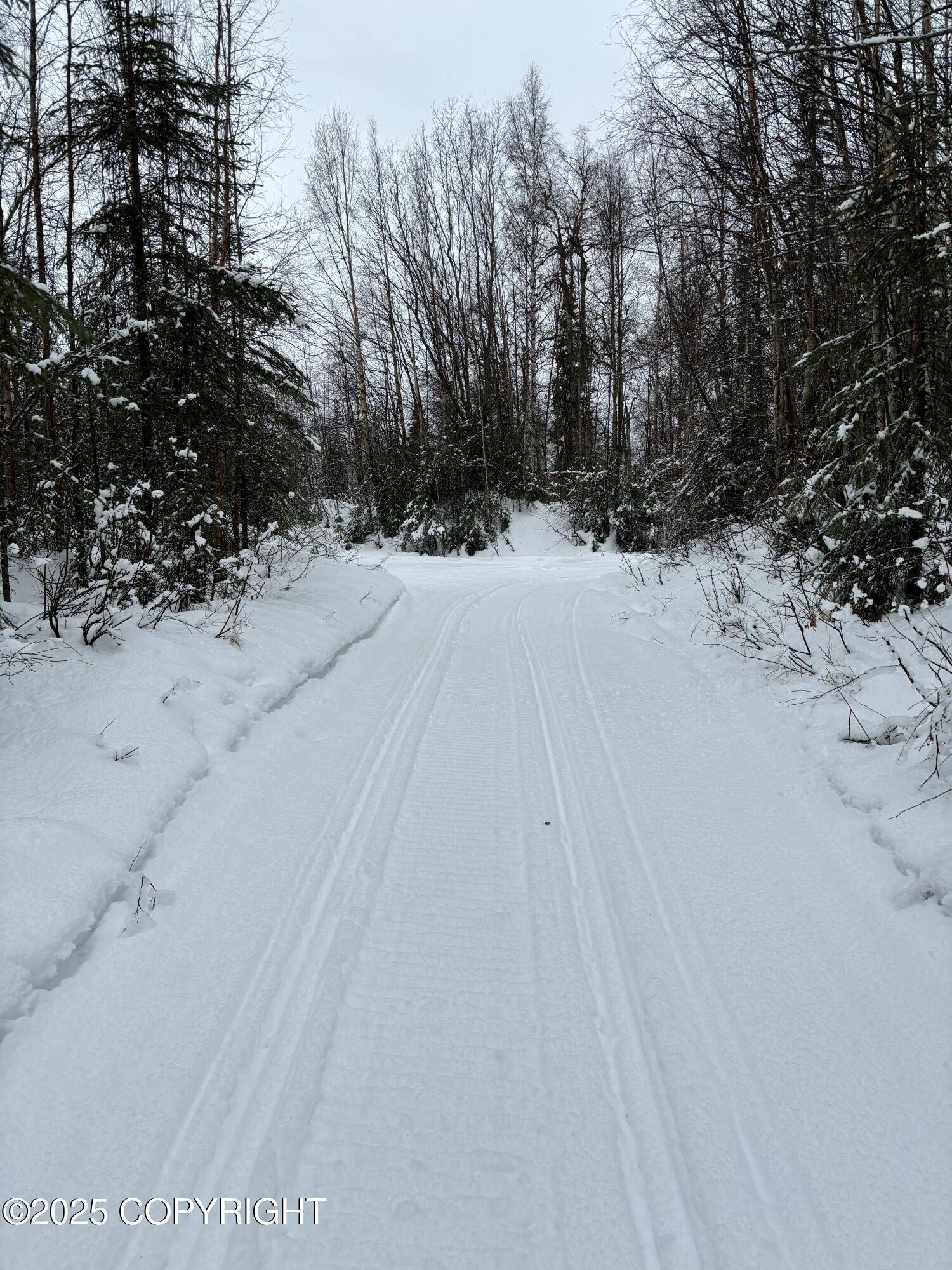 Talkeetna, AK 99676,35867 S Malaspina LOOP