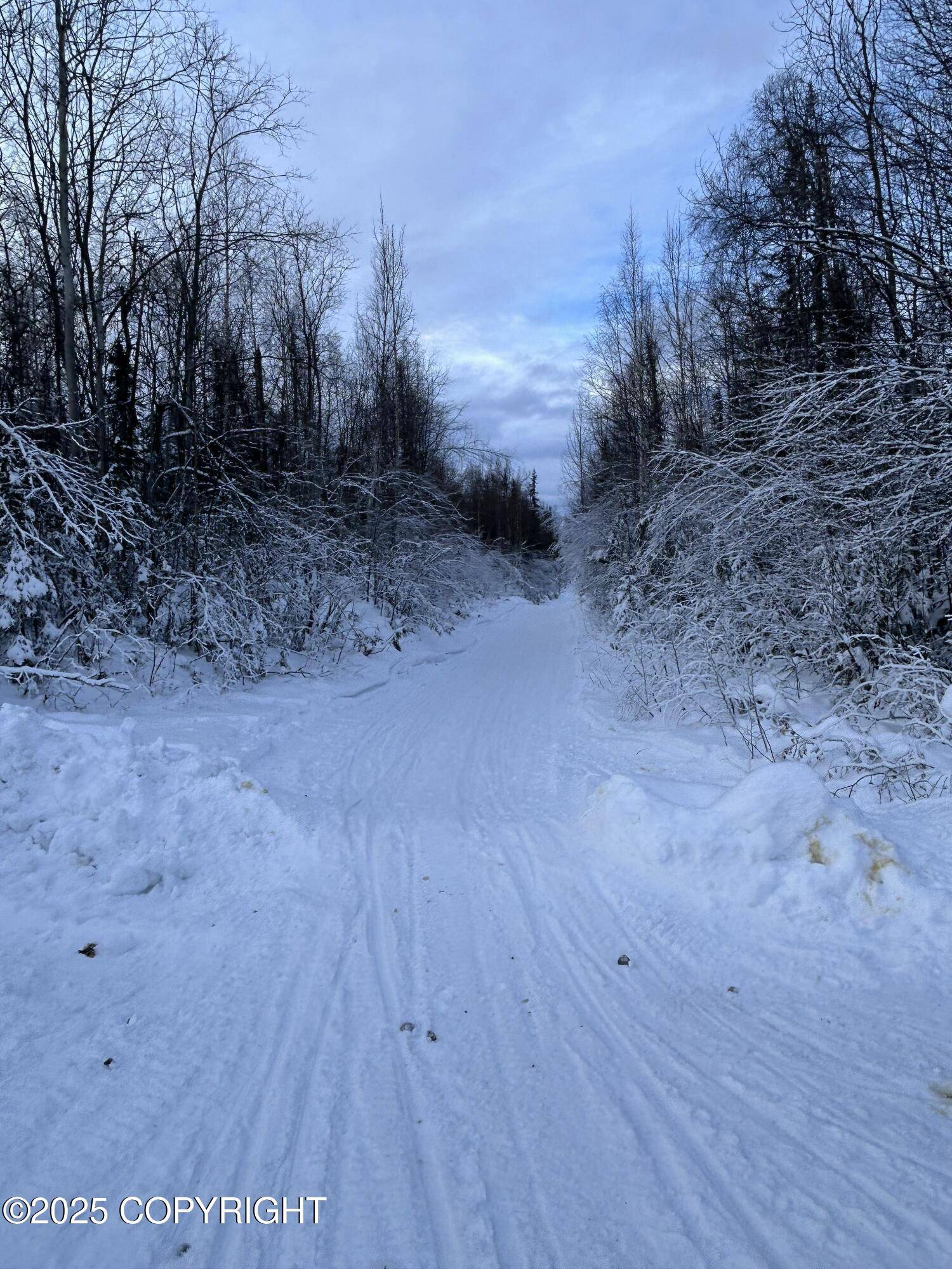 Talkeetna, AK 99676,35867 S Malaspina LOOP