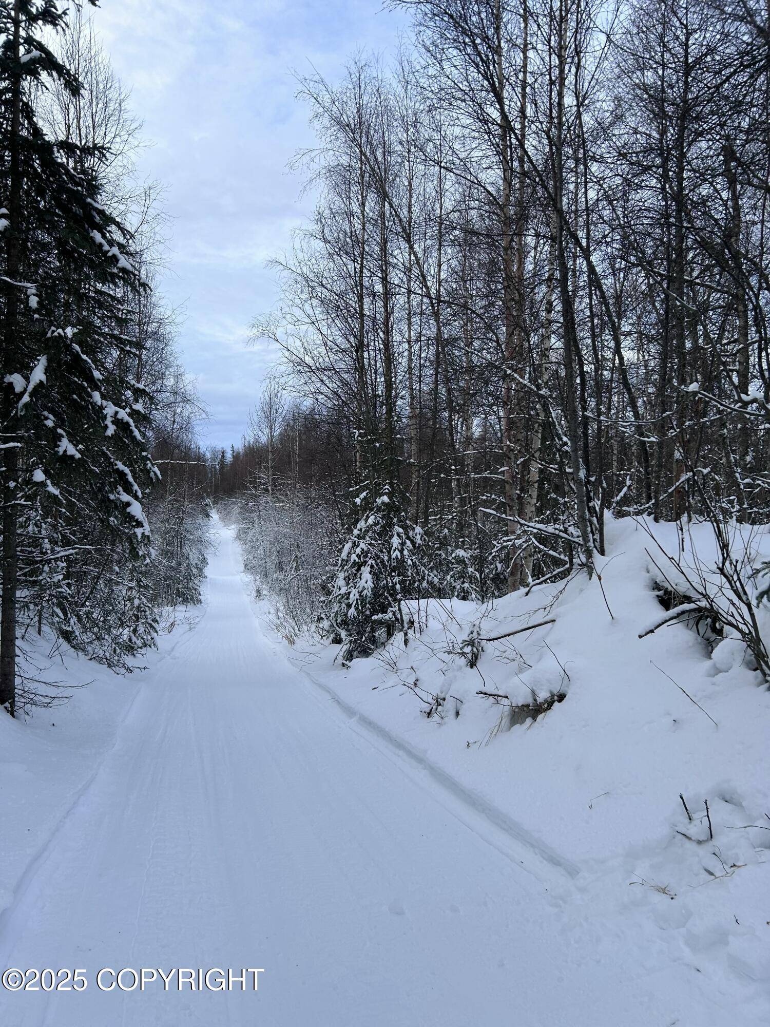 Talkeetna, AK 99676,35867 S Malaspina LOOP