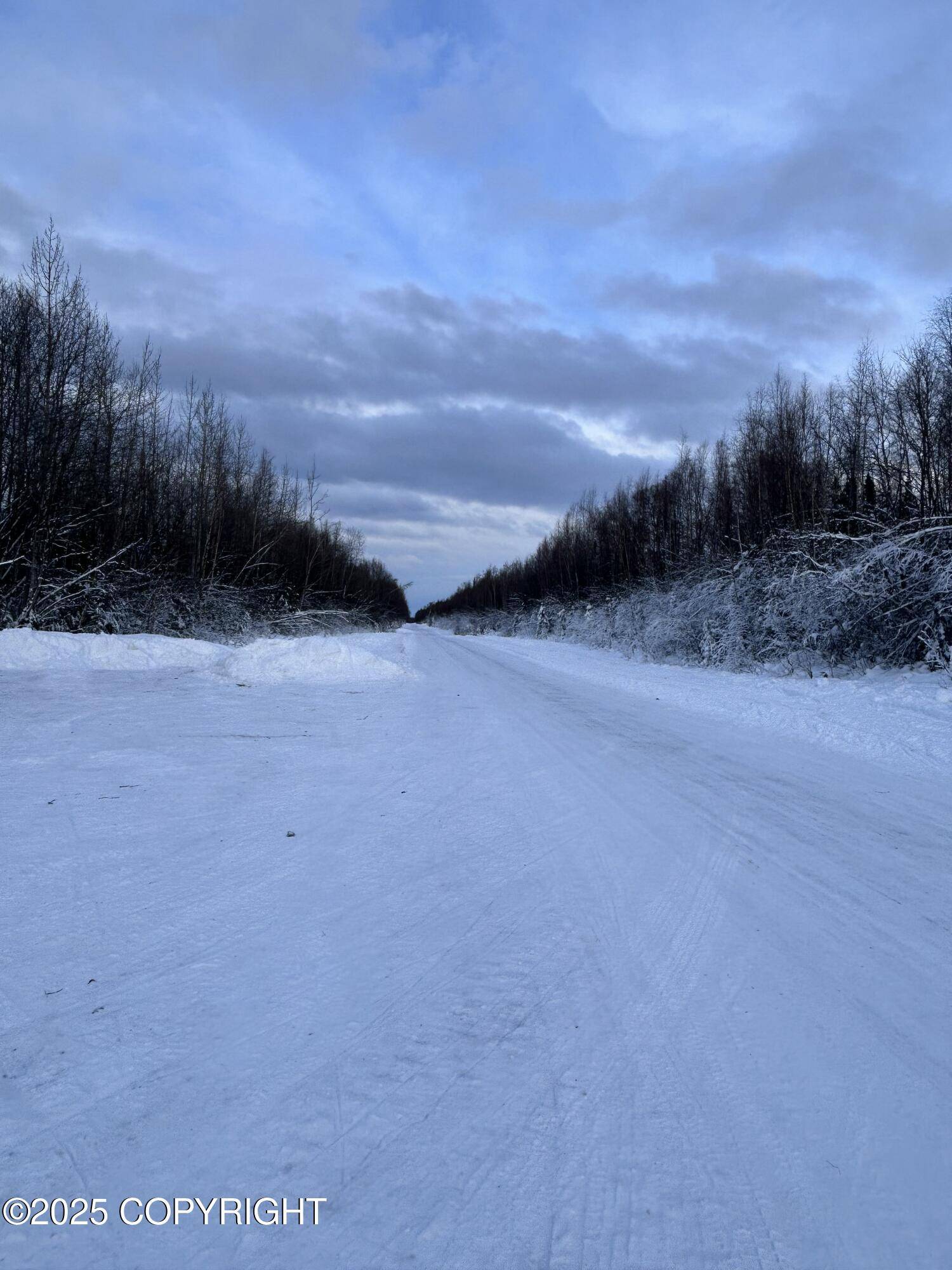 Talkeetna, AK 99676,35867 S Malaspina LOOP