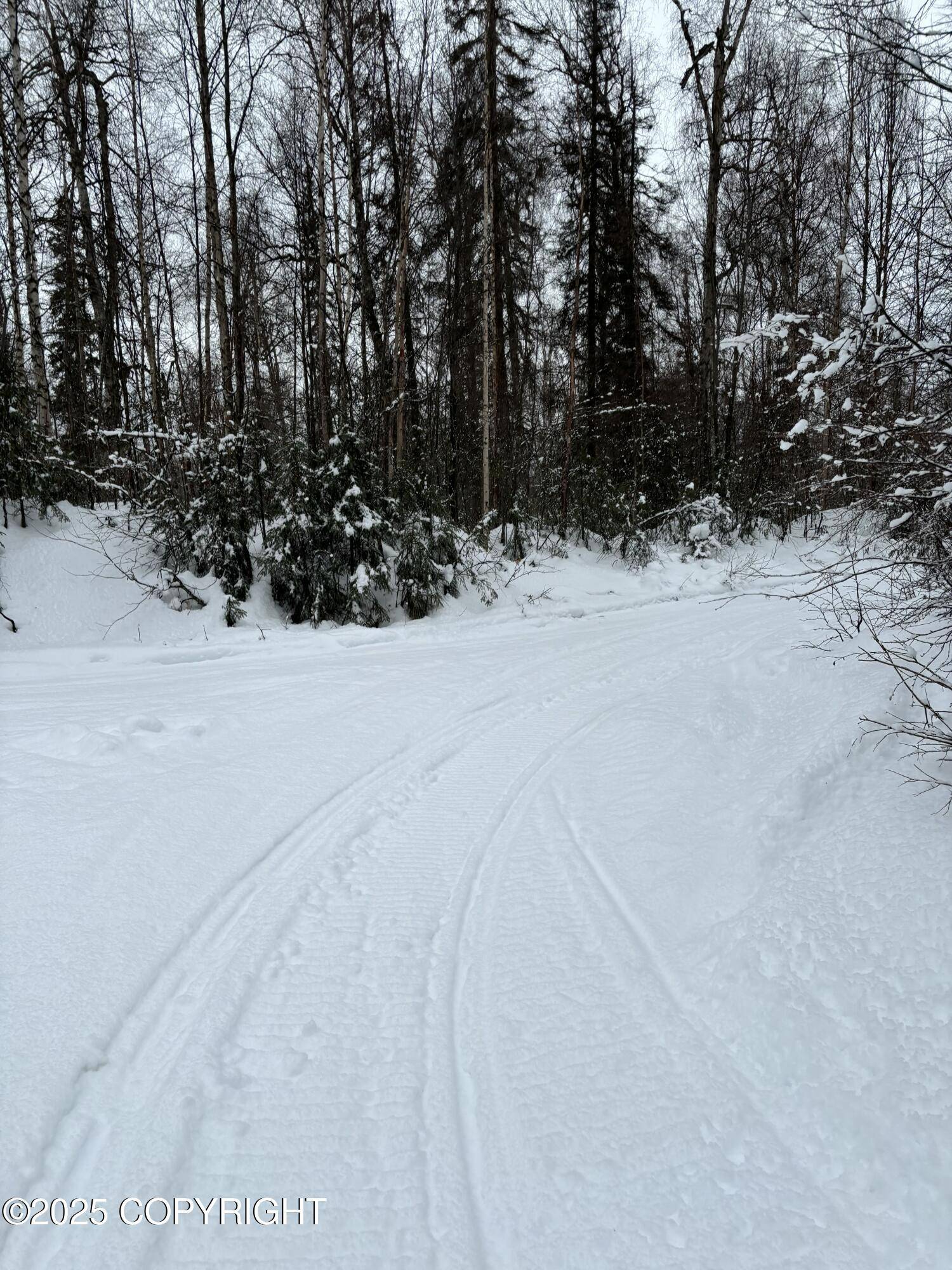 Talkeetna, AK 99676,35867 S Malaspina LOOP