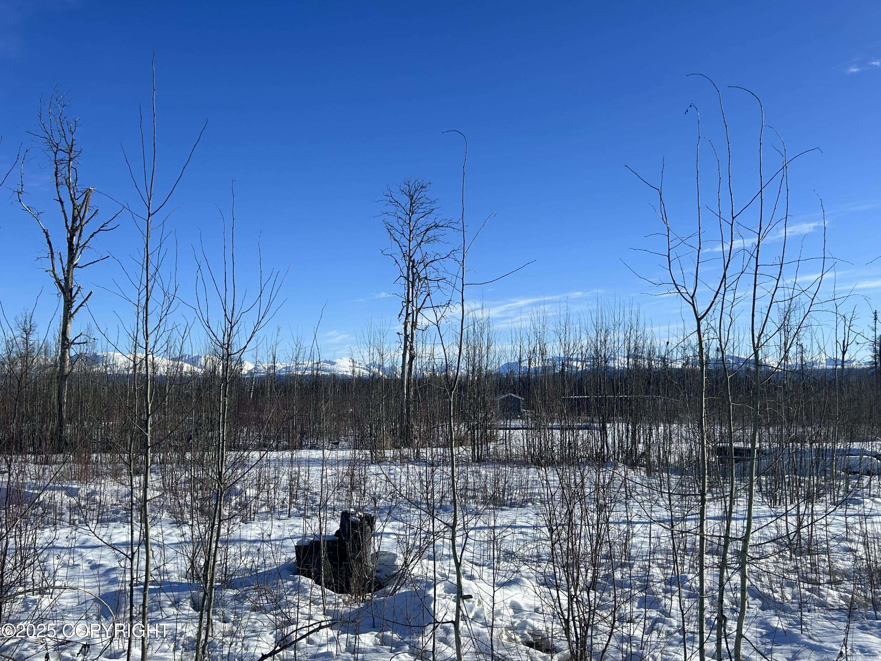 Willow, AK 99688,15408 Wild Bill WAY