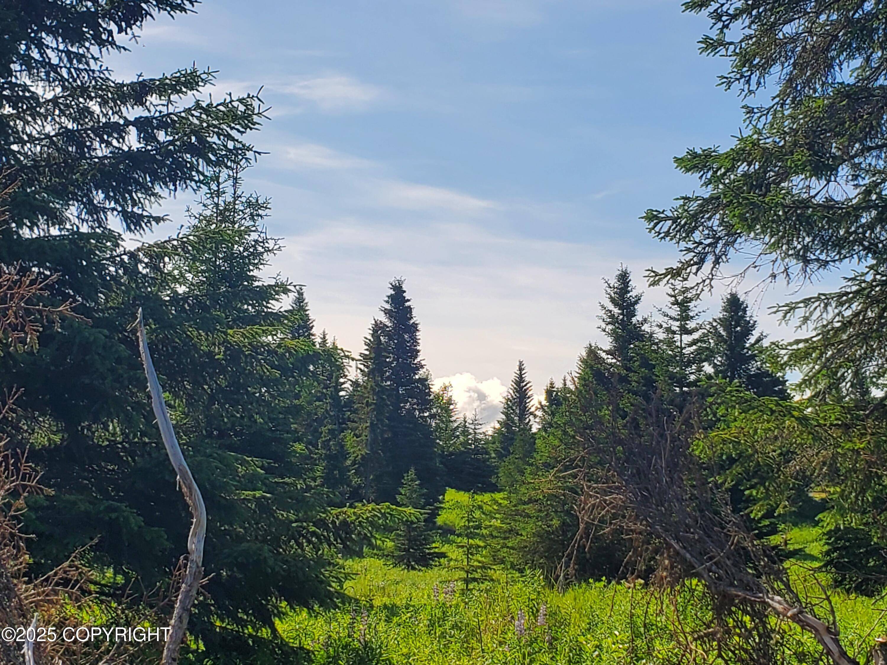Ninilchik, AK 99639,17490 Chefornak ST