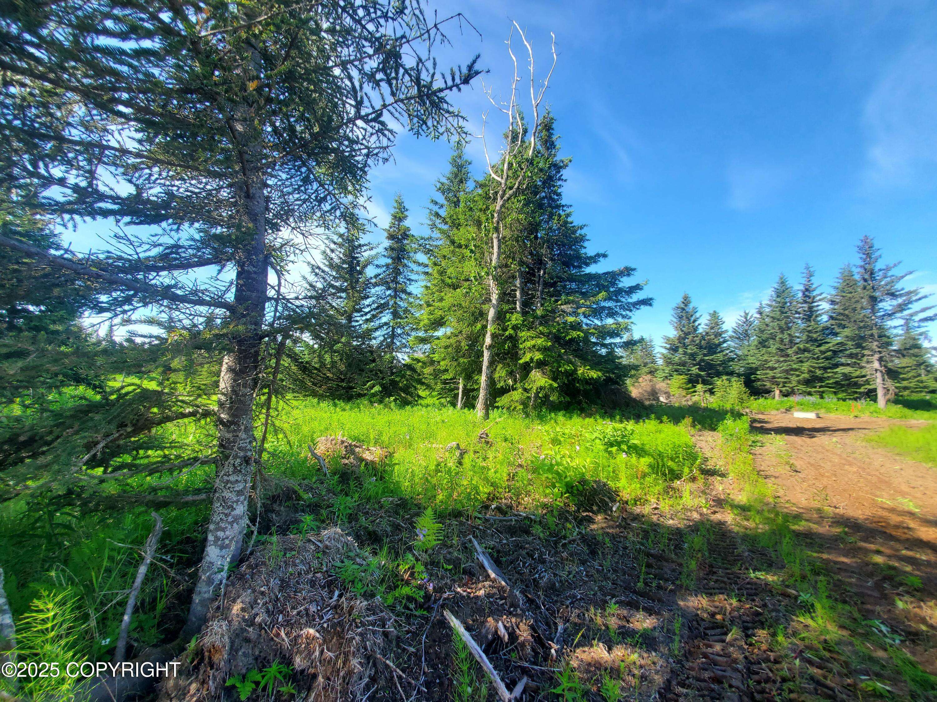 Ninilchik, AK 99639,17490 Chefornak ST