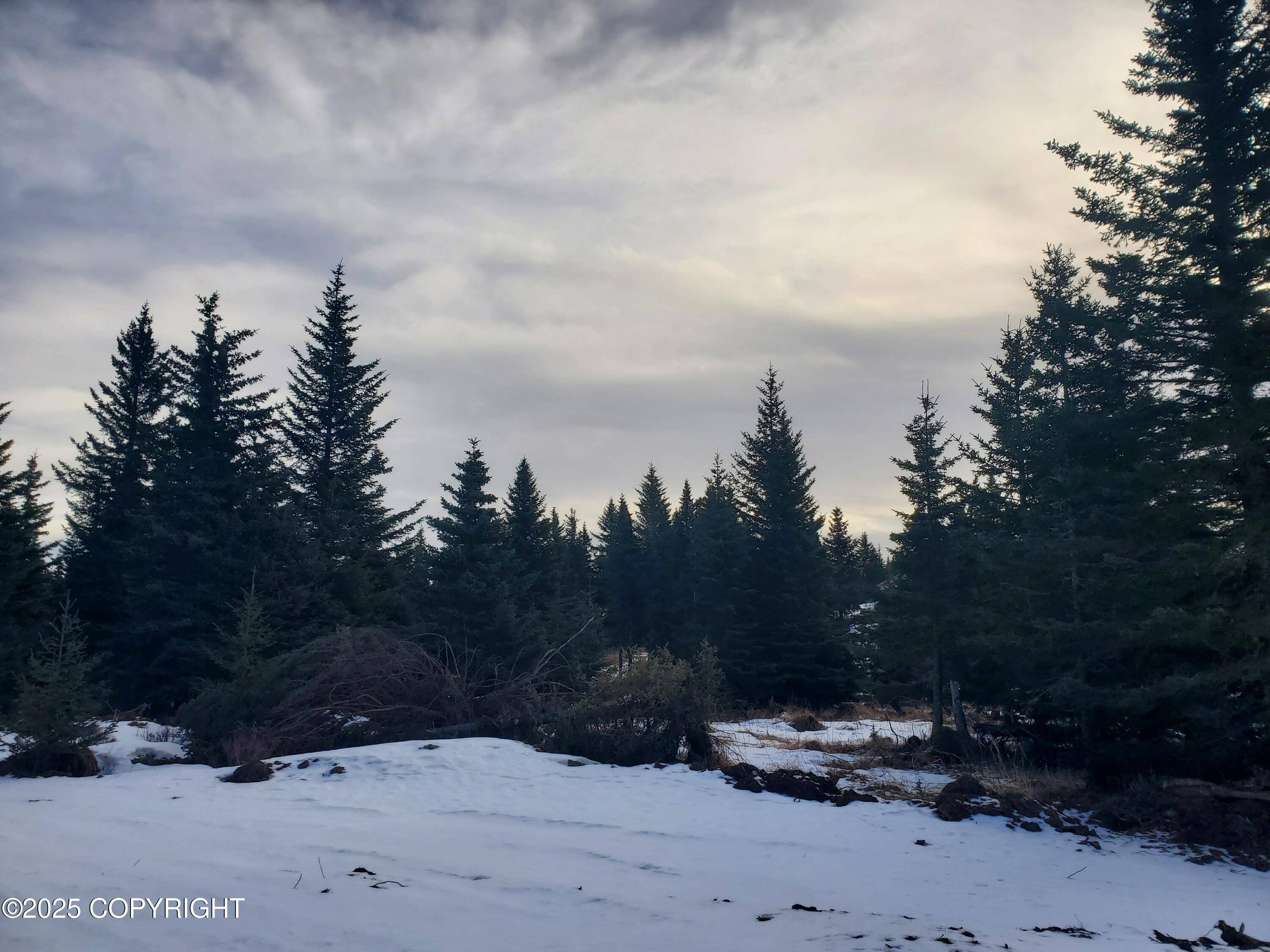 Ninilchik, AK 99639,17490 Chefornak ST