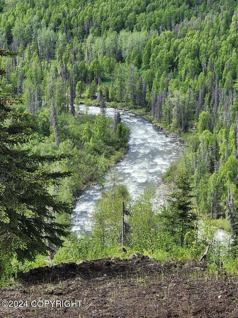 Willow, AK 99688,12565 Snowberry RD