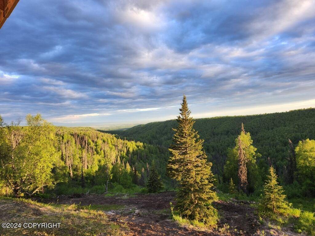 Willow, AK 99688,12565 Snowberry RD