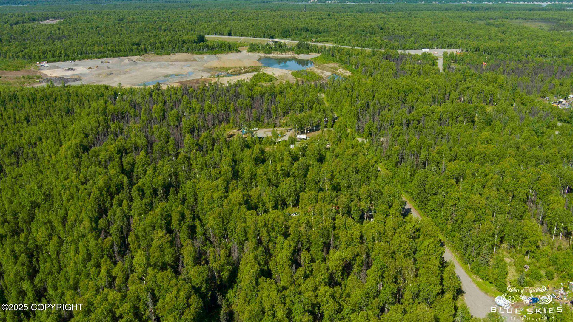Talkeetna, AK 99676,16016 E Greenleaf DR