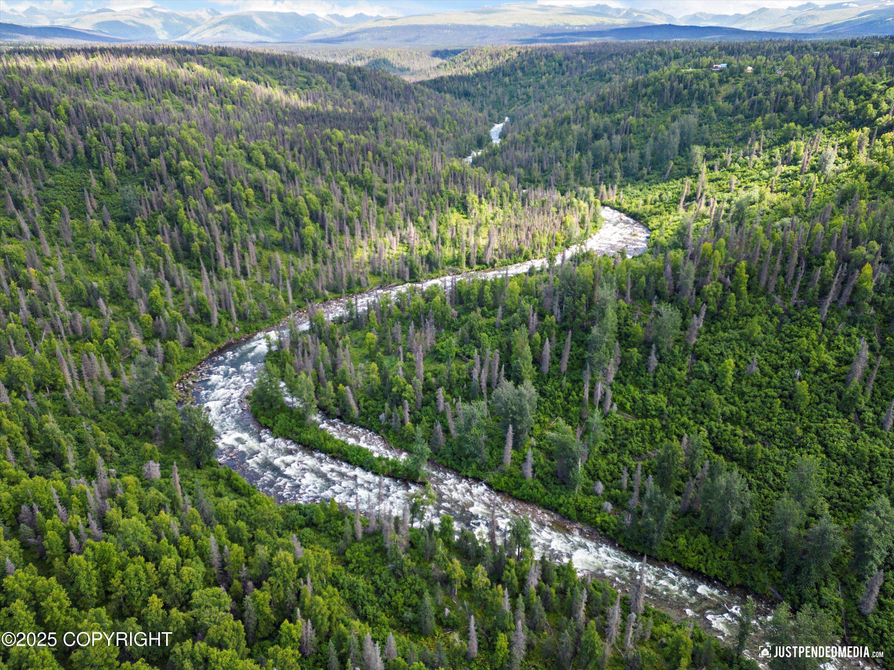 Willow, AK 99688,12643 Snowberry RD
