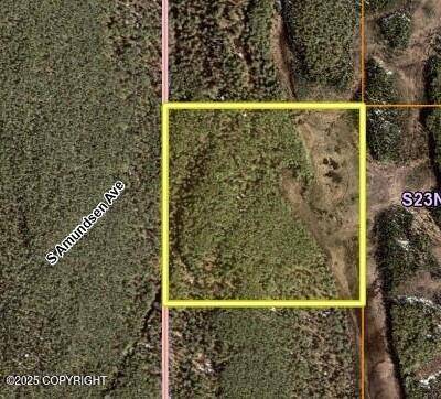 Talkeetna, AK 99676,44225 S Amundsen AVE