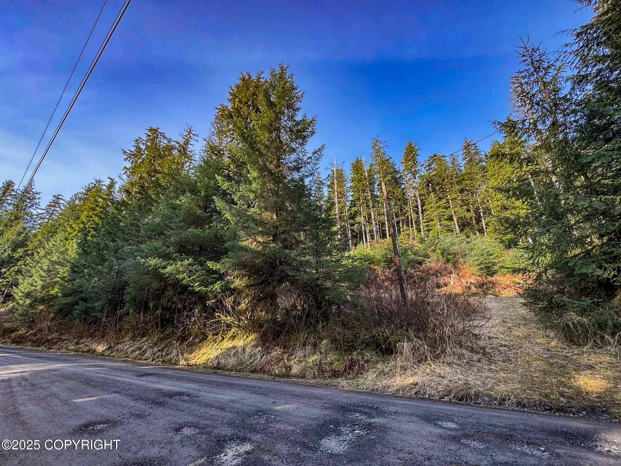Whale Pass, AK 99927,L7B13 USFS 30 RD
