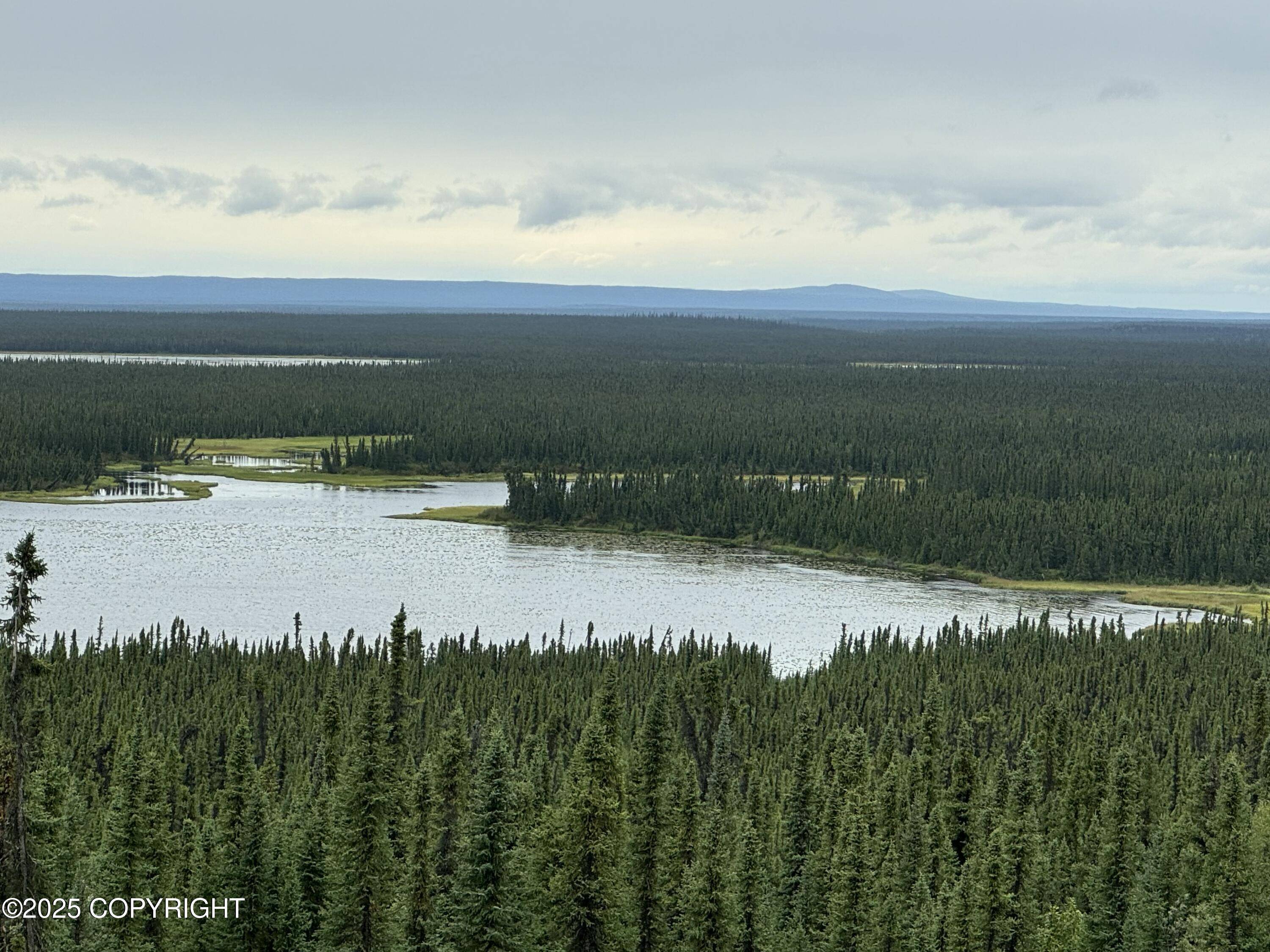 Gakona, AK 99586,L7 Lou Anne LN