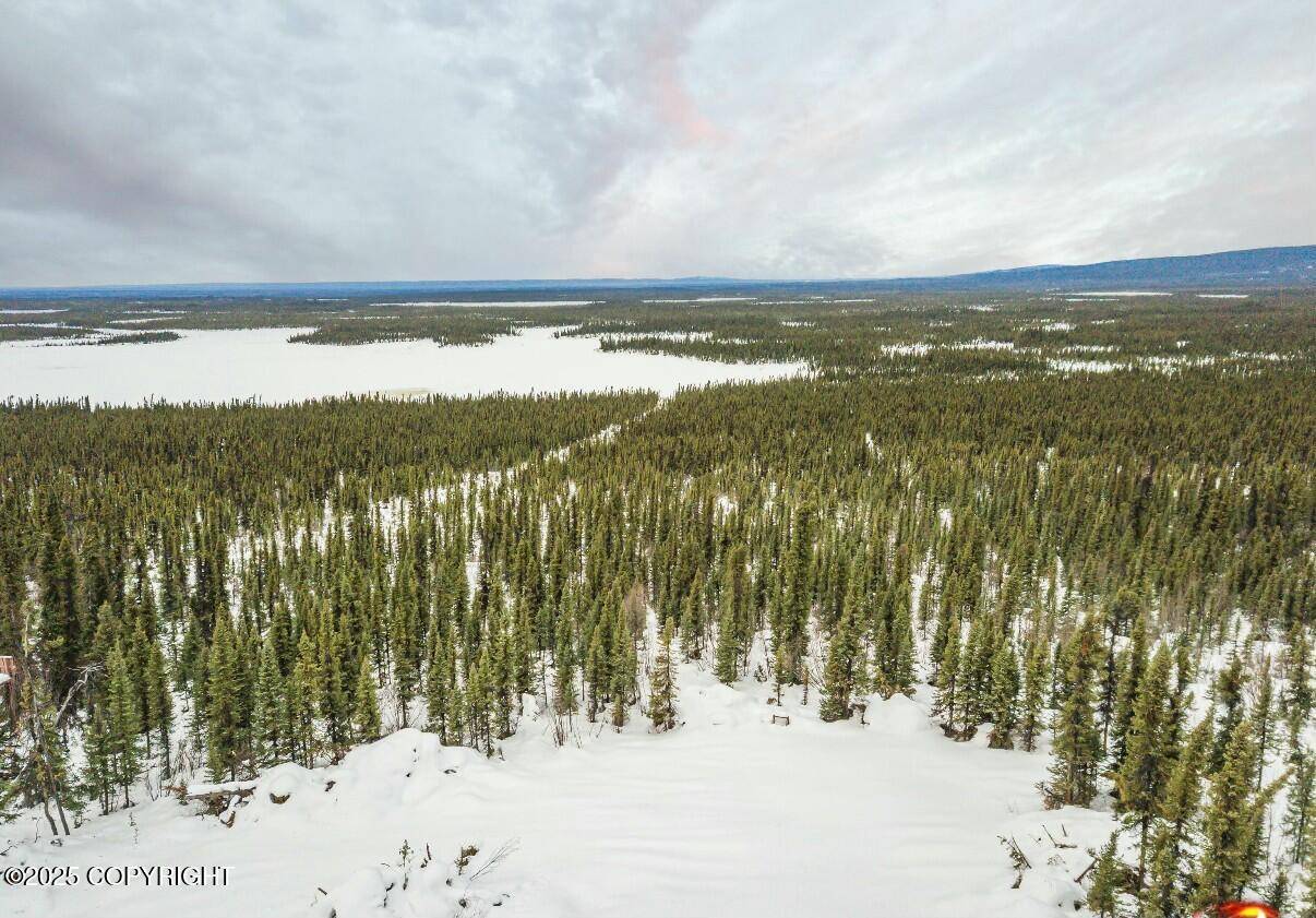 Gakona, AK 99586,L9 Lou Anne LN