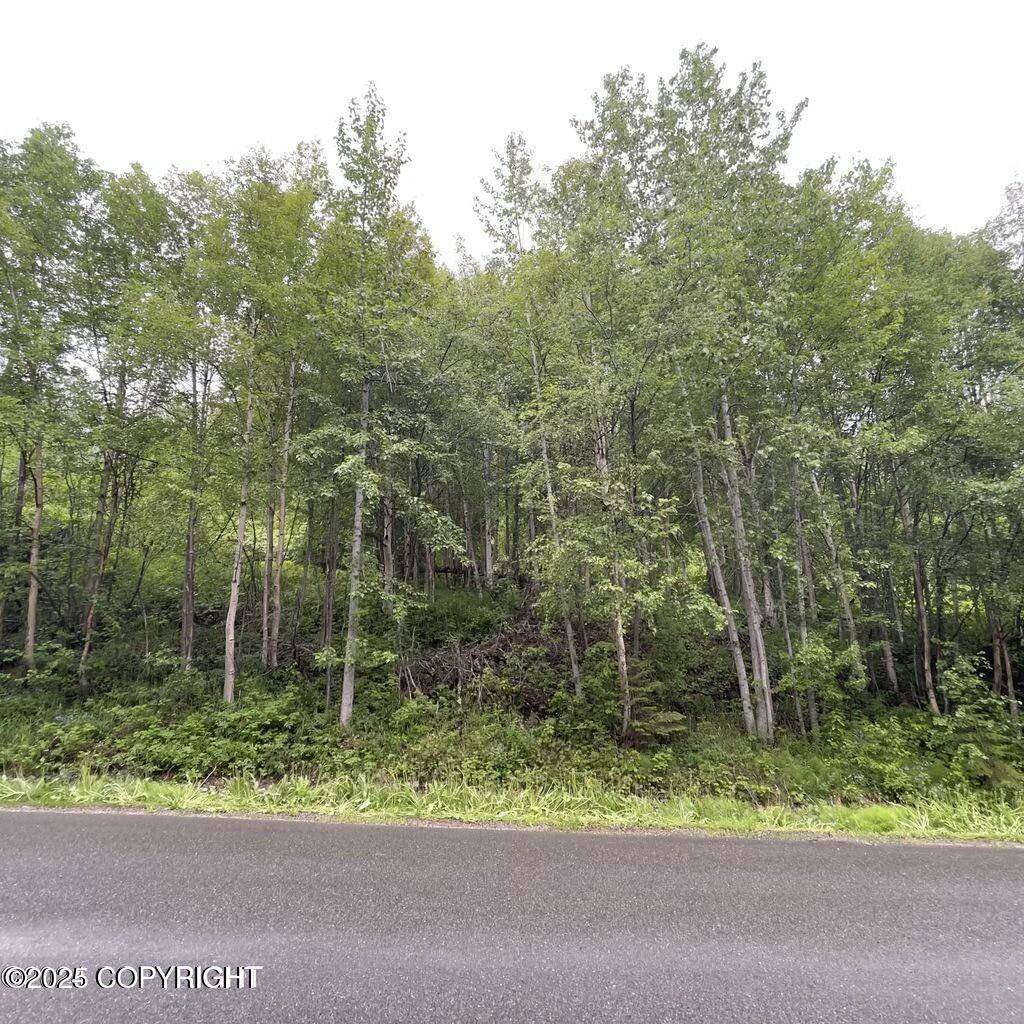 Eagle River, AK 99577,L 12 White Spruce DR