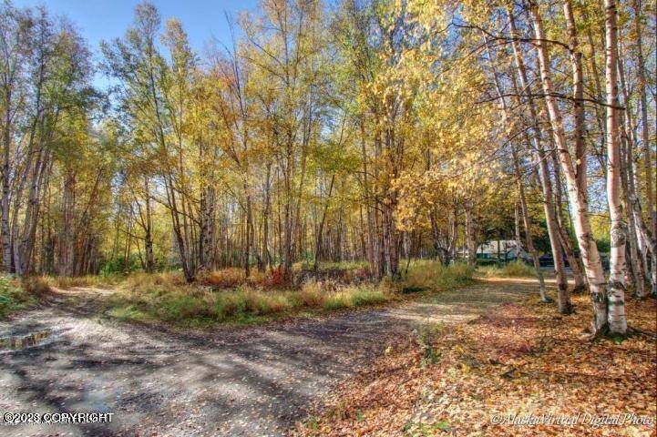 Wasilla, AK 99654,900 E Susitna AVE