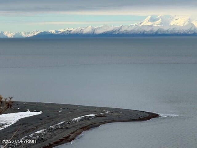 Ninilchik, AK 99639,16125 Denali CIR