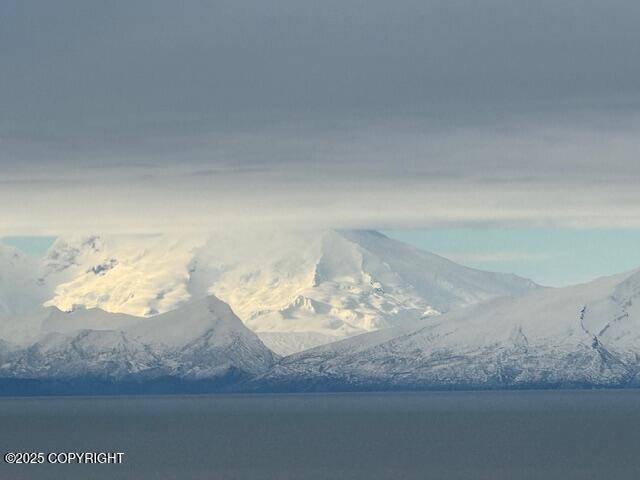 Ninilchik, AK 99639,16125 Denali CIR