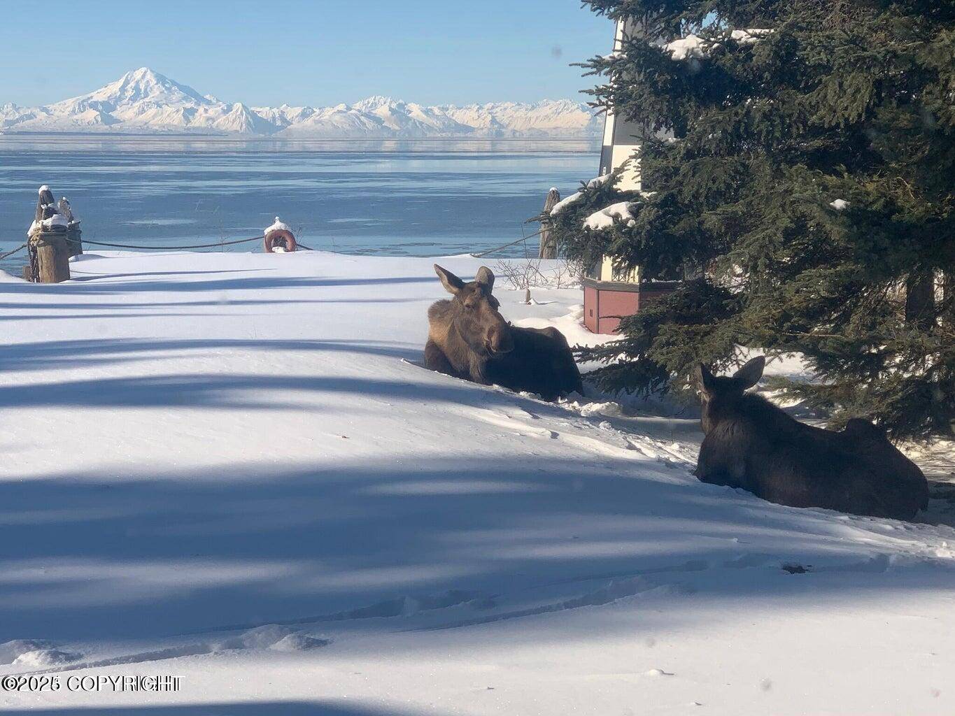 Kenai, AK 99611,36575 Chinulna DR