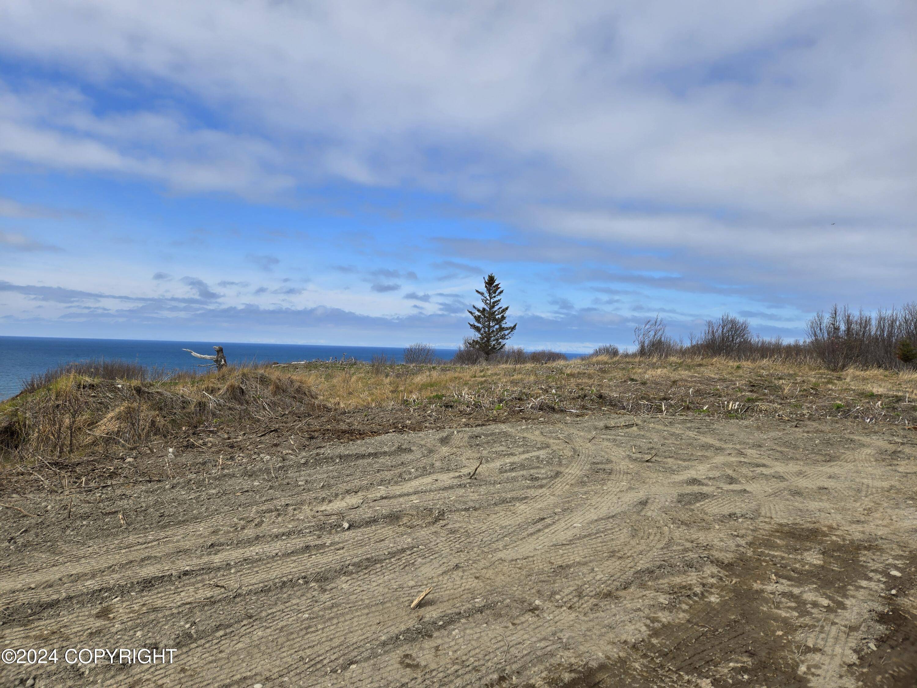 Anchor Point, AK 99556,L7 Danver
