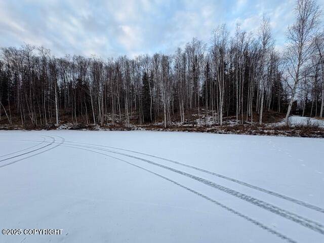 Big Lake, AK 99652,L 4 No Road