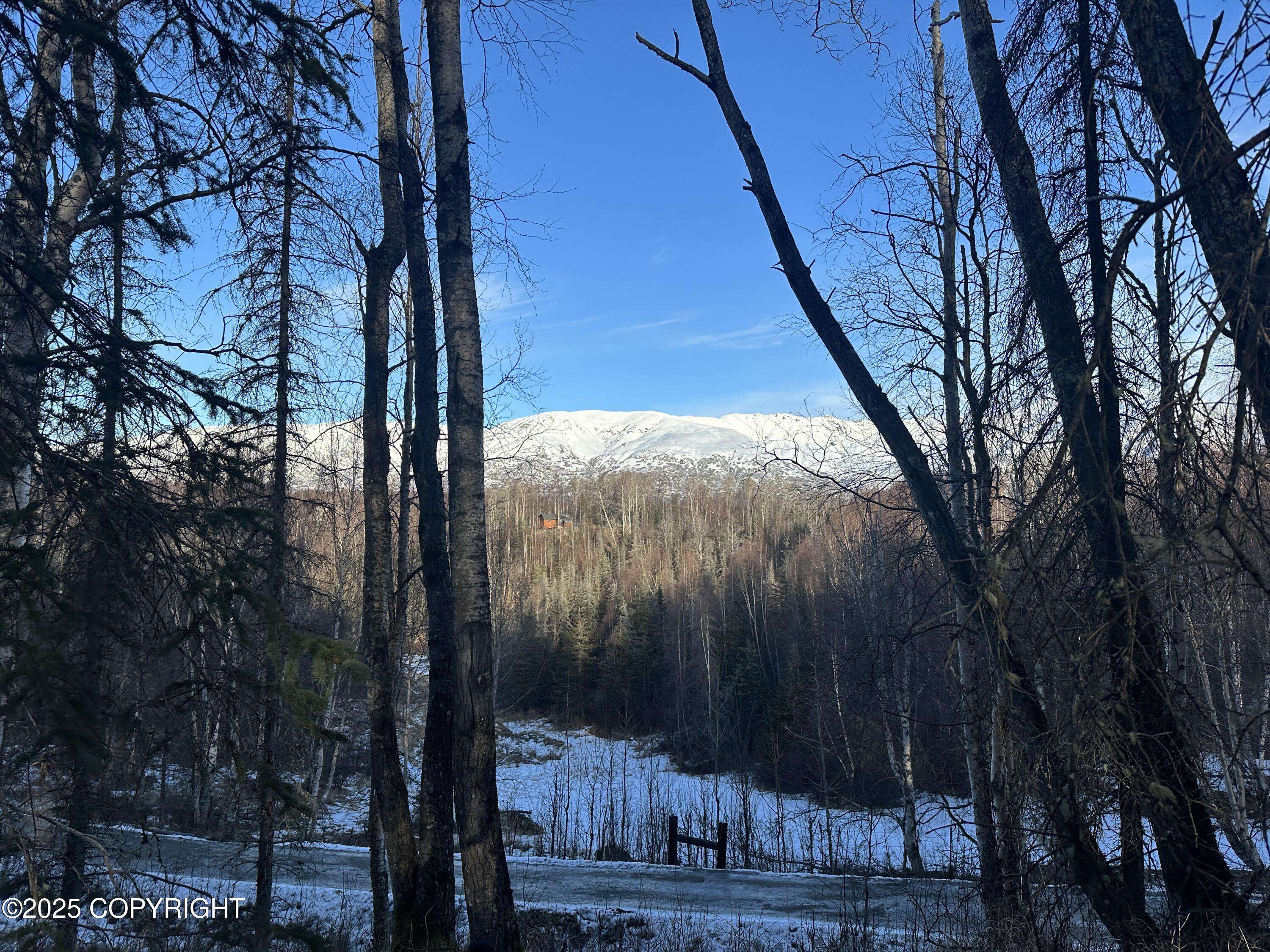 Wasilla, AK 99645,L6 B2 Spruce Hen