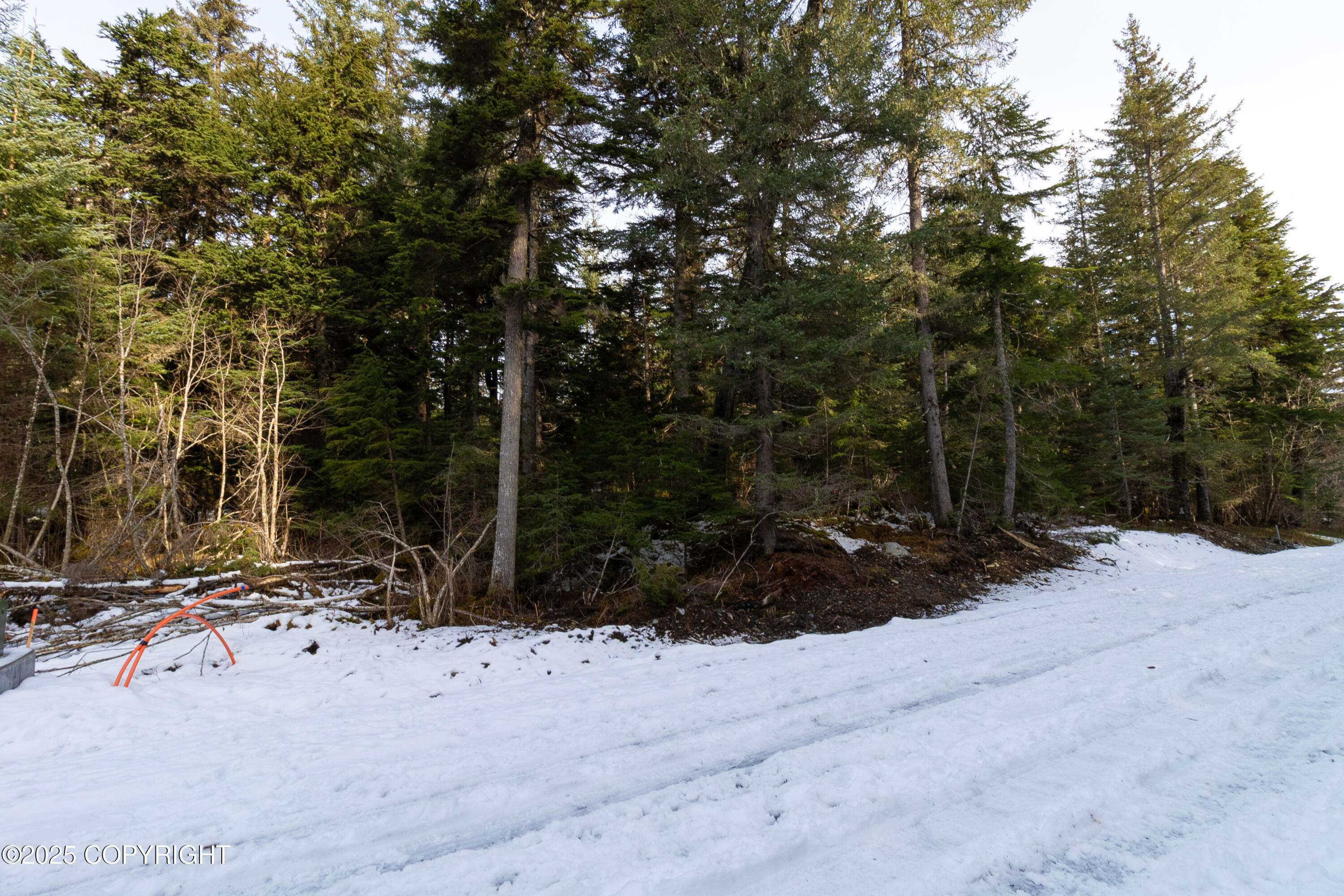 Seward, AK 99664,31900 Maxwell CT