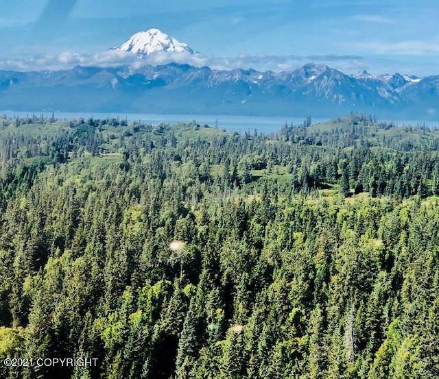 Remote, AK 99000,L22 Kalgin Island Estates