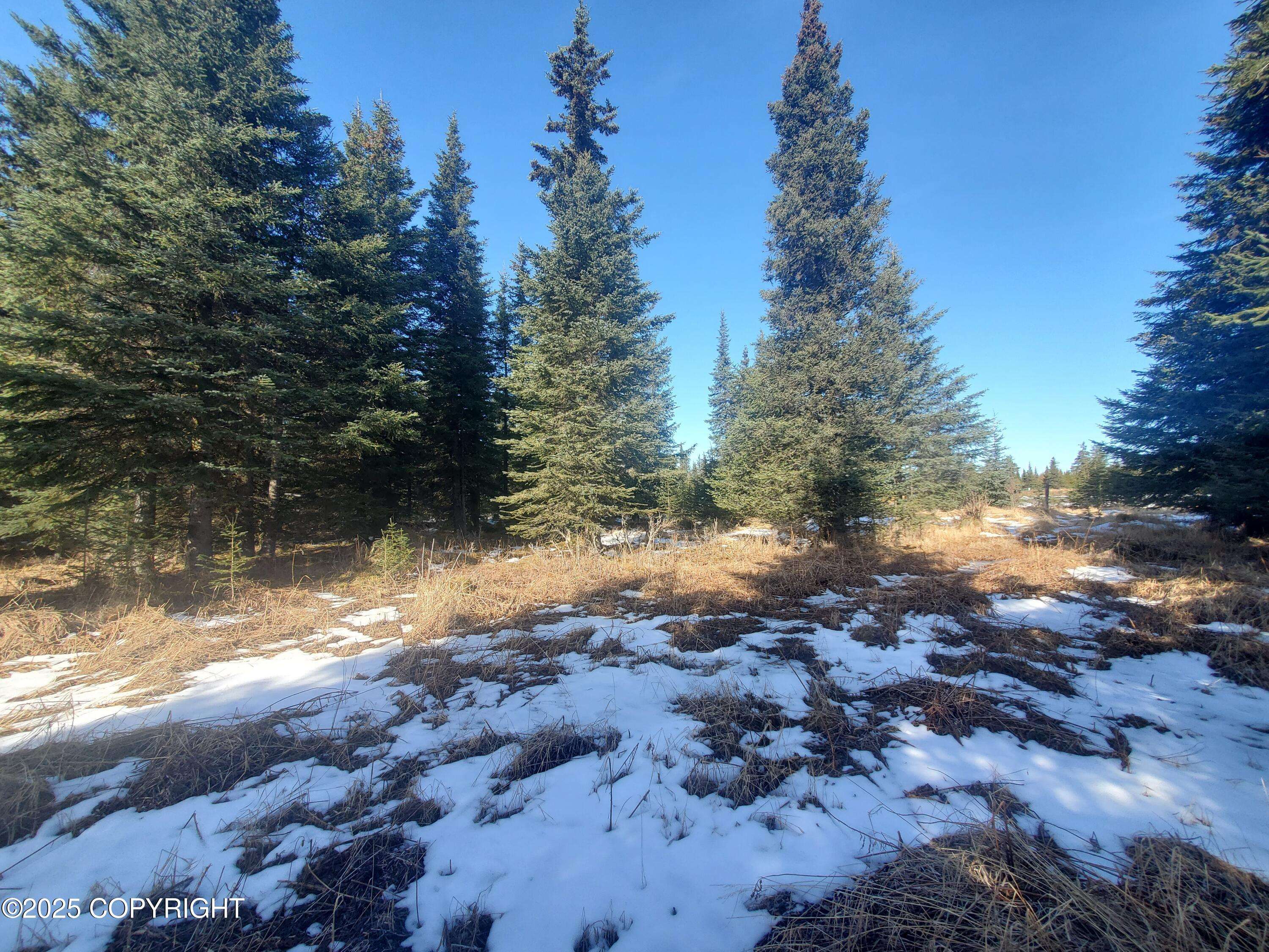 Anchor Point, AK 99556,33550 Sterling HWY