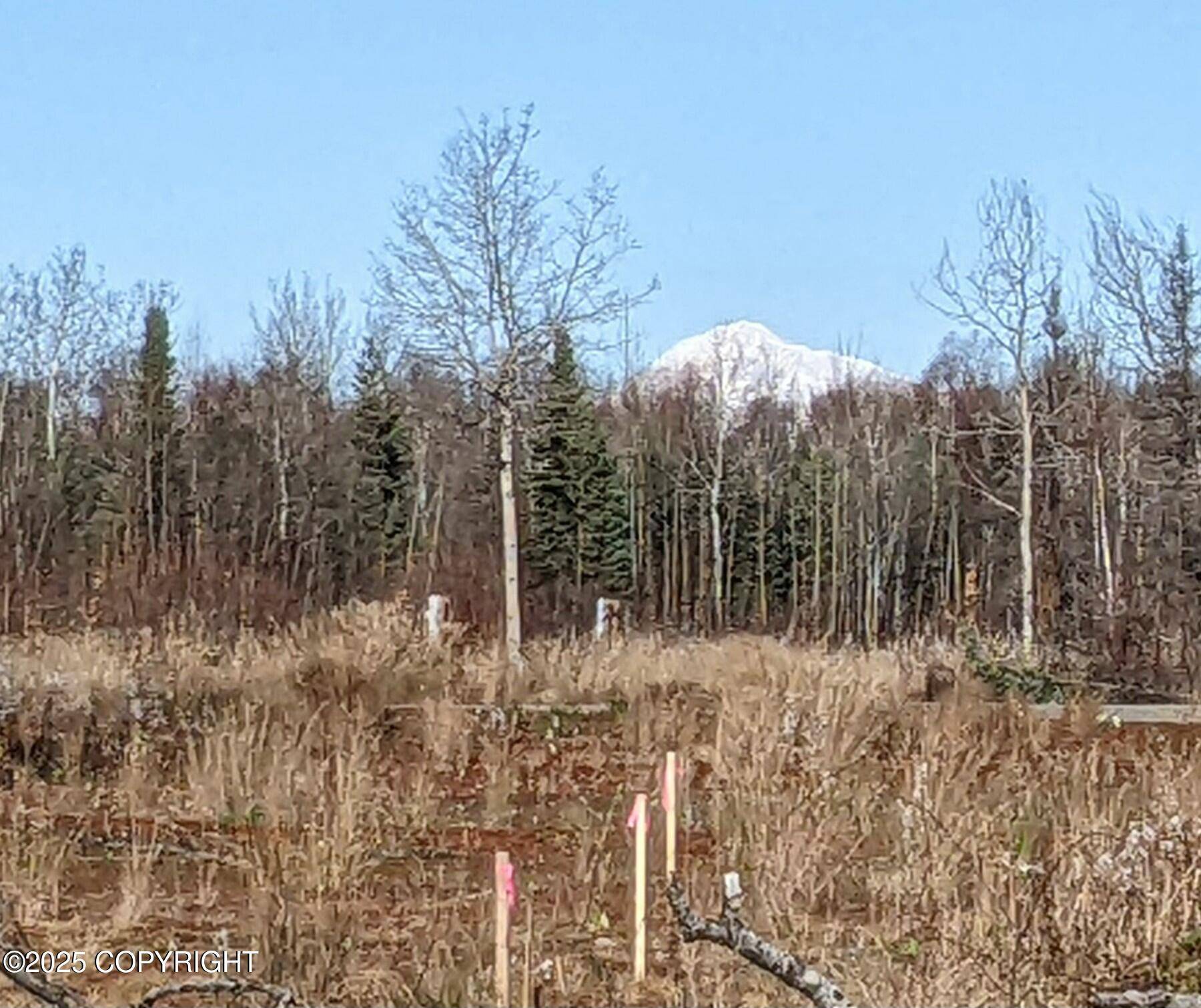 Willow, AK 99688,47345 S Hawk AVE