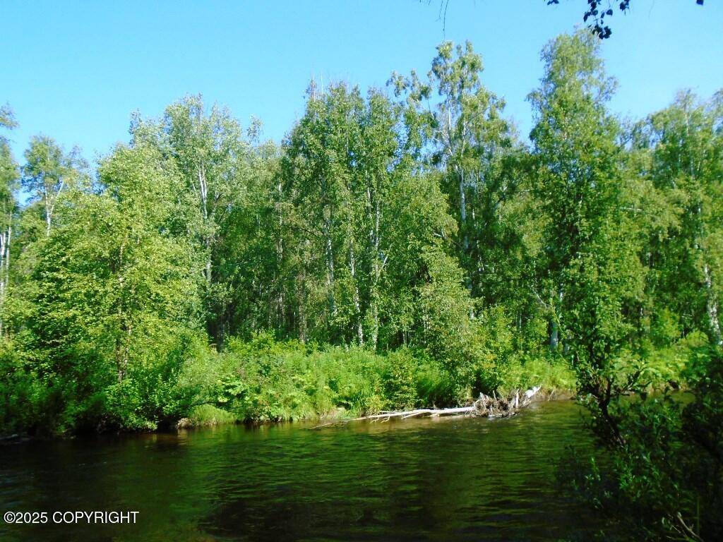 Talkeetna, AK 99676,Tr A Mile 93 Parks HWY