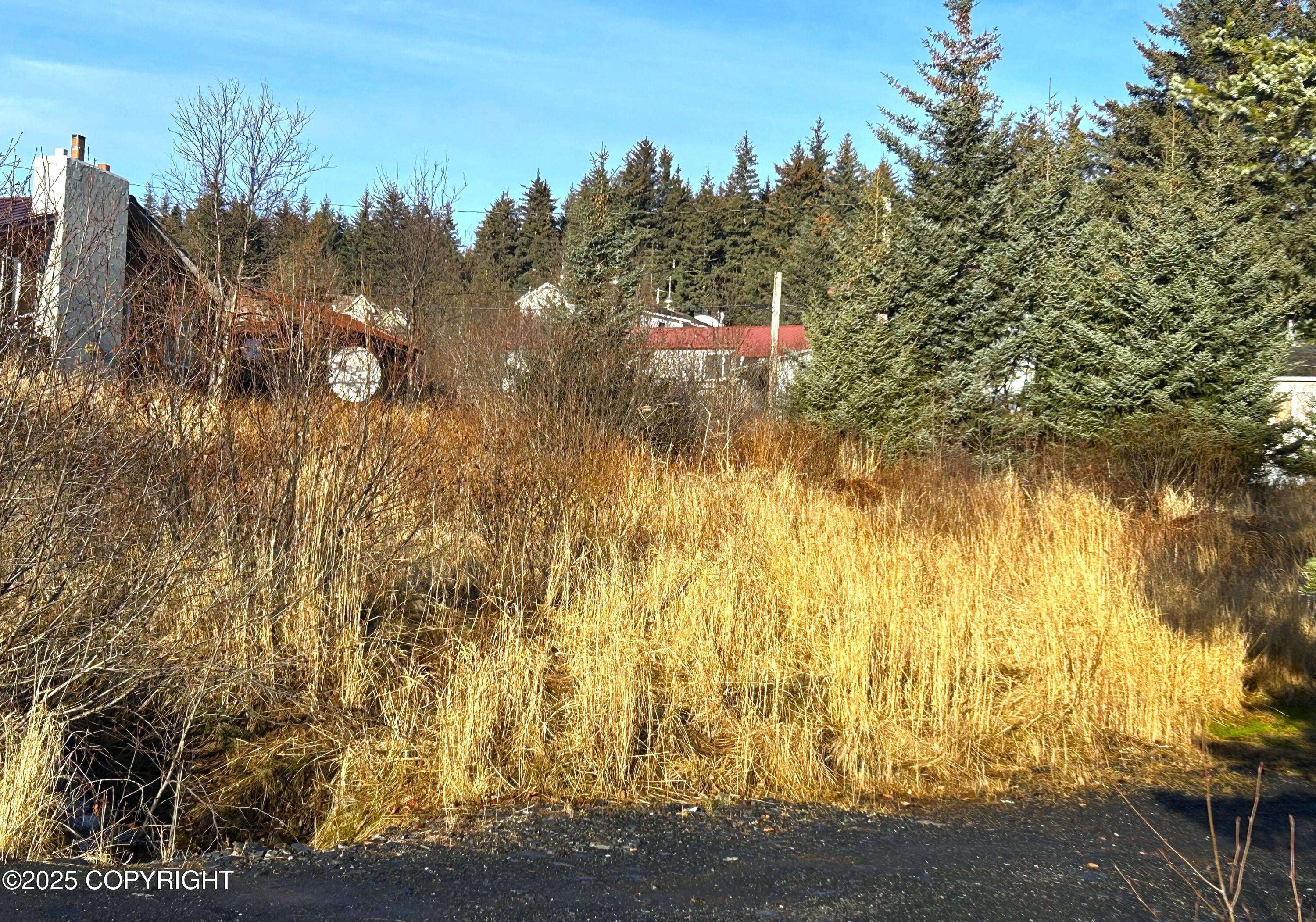 Port Lions, AK 99550,202 Spruce DR
