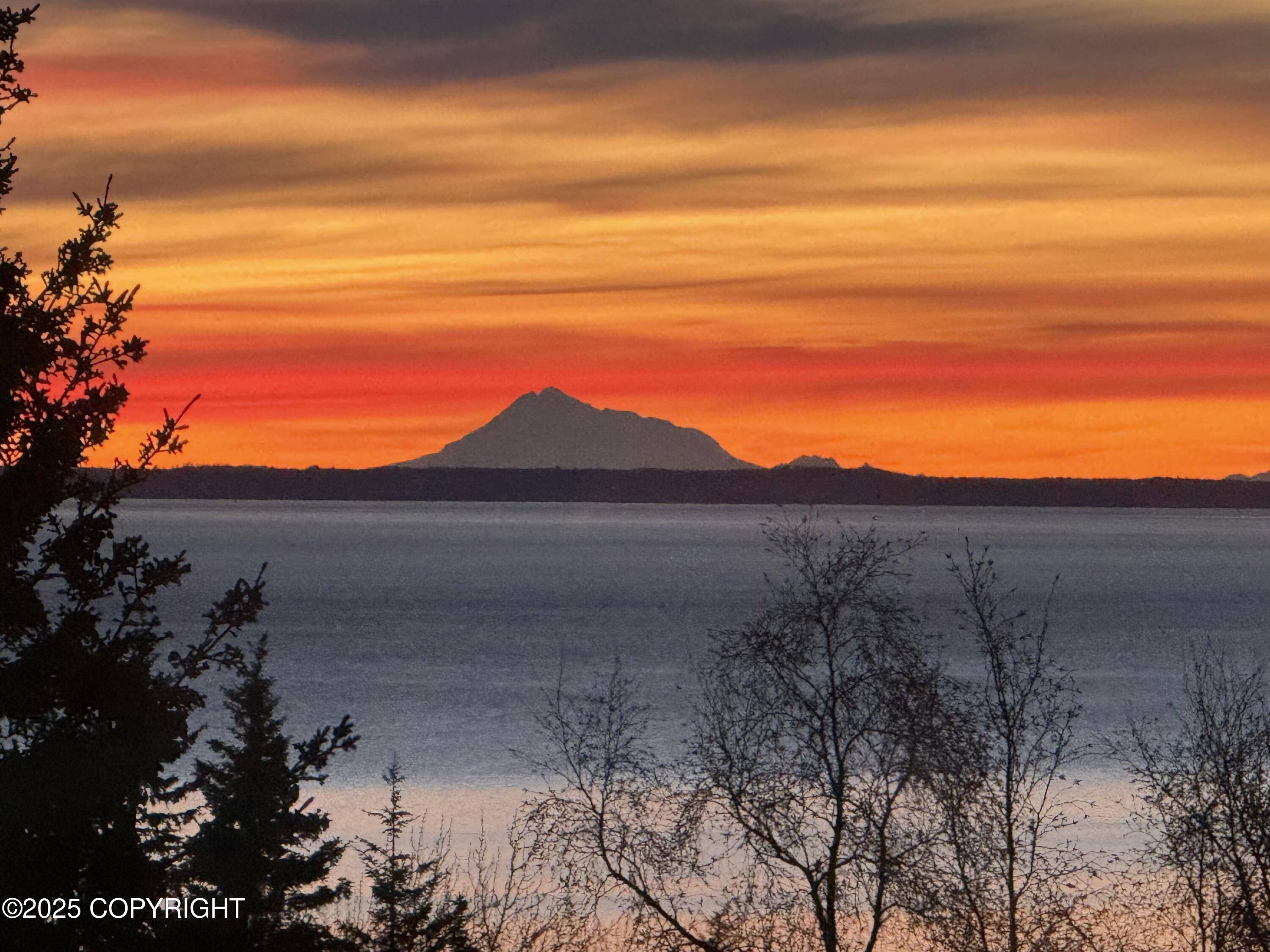 Anchorage, AK 99516,18627 Mountain Plover CIR