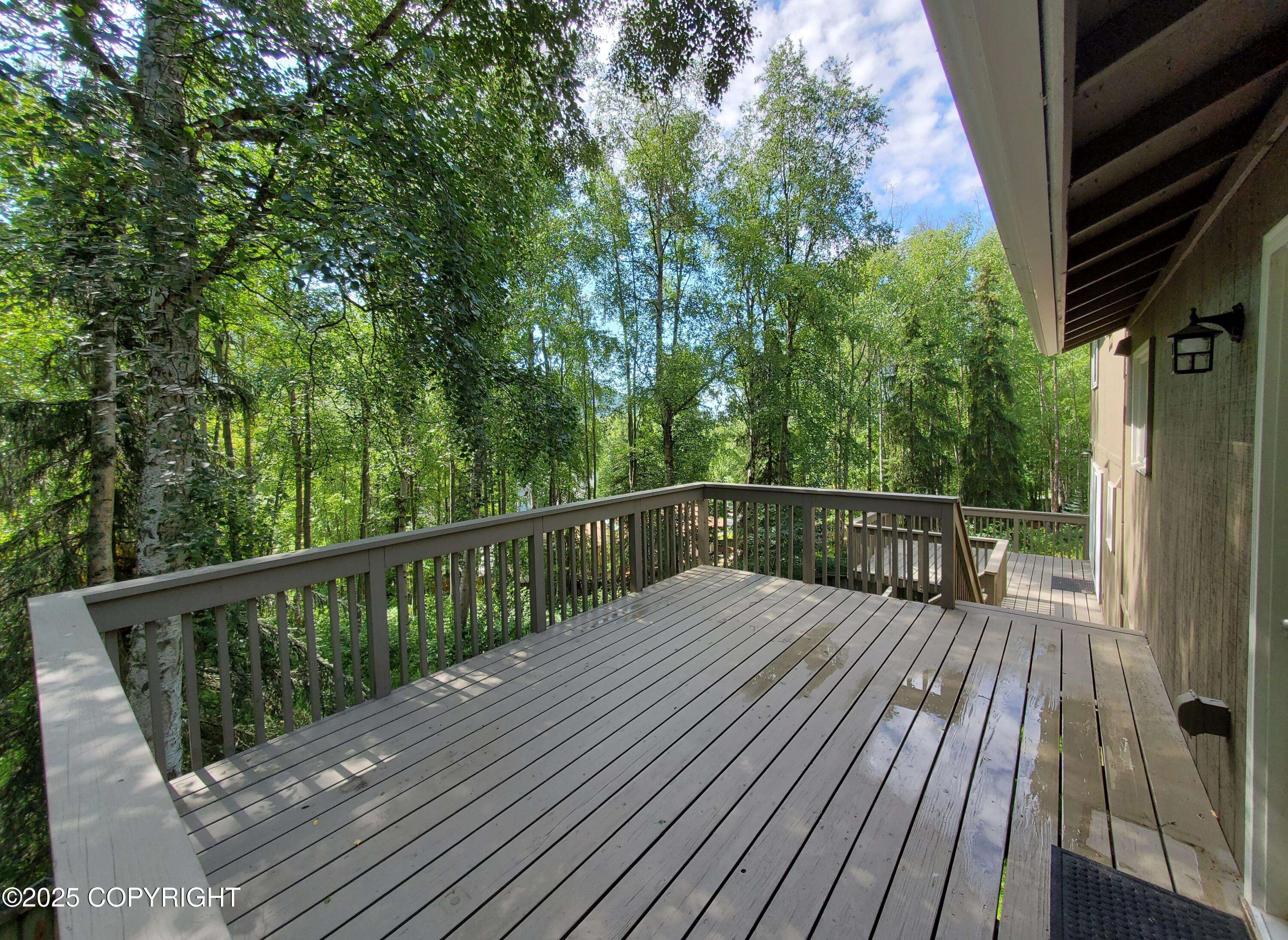 Eagle River, AK 99577,19532 Ostovia CIR