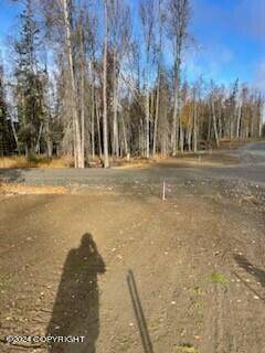 Soldotna, AK 99669,Lot 3 Authentic RD