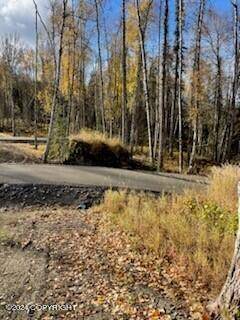 Soldotna, AK 99669,Lot 3 Authentic RD