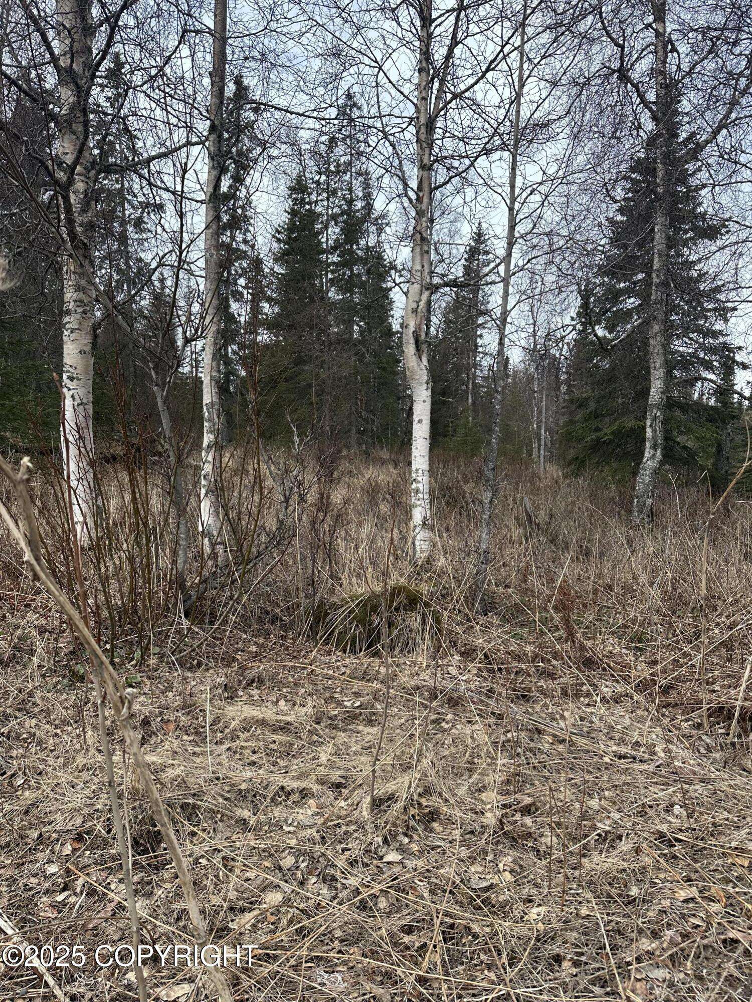 Nikiski/north Kenai, AK 99611,L9-10 B3 Island Lake RD