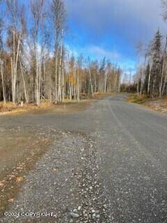 Soldotna, AK 99669,Lot 6 Authentic RD