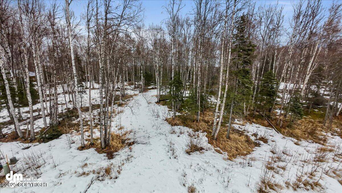 Willow, AK 99688,14581 E Ian Tawney DR