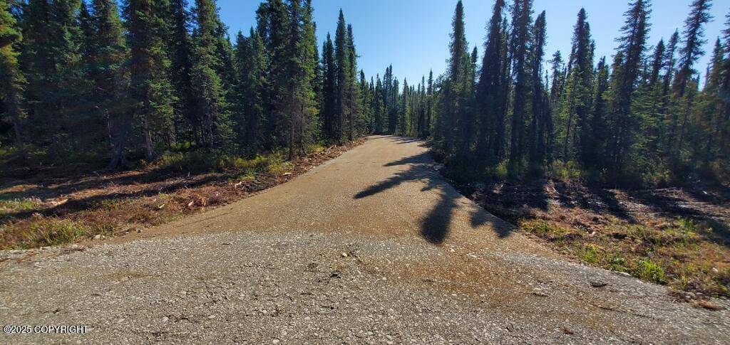 Willow, AK 99688,15510 N Deception Shores CIR