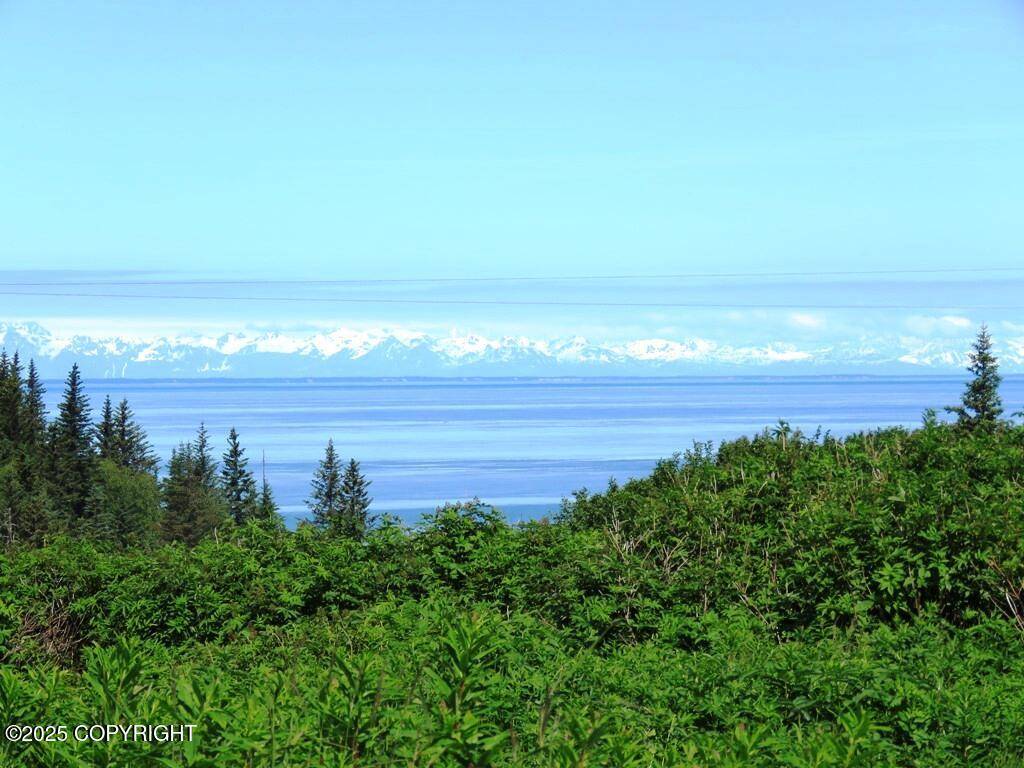 Ninilchik, AK 99639,17203 Hyila LN