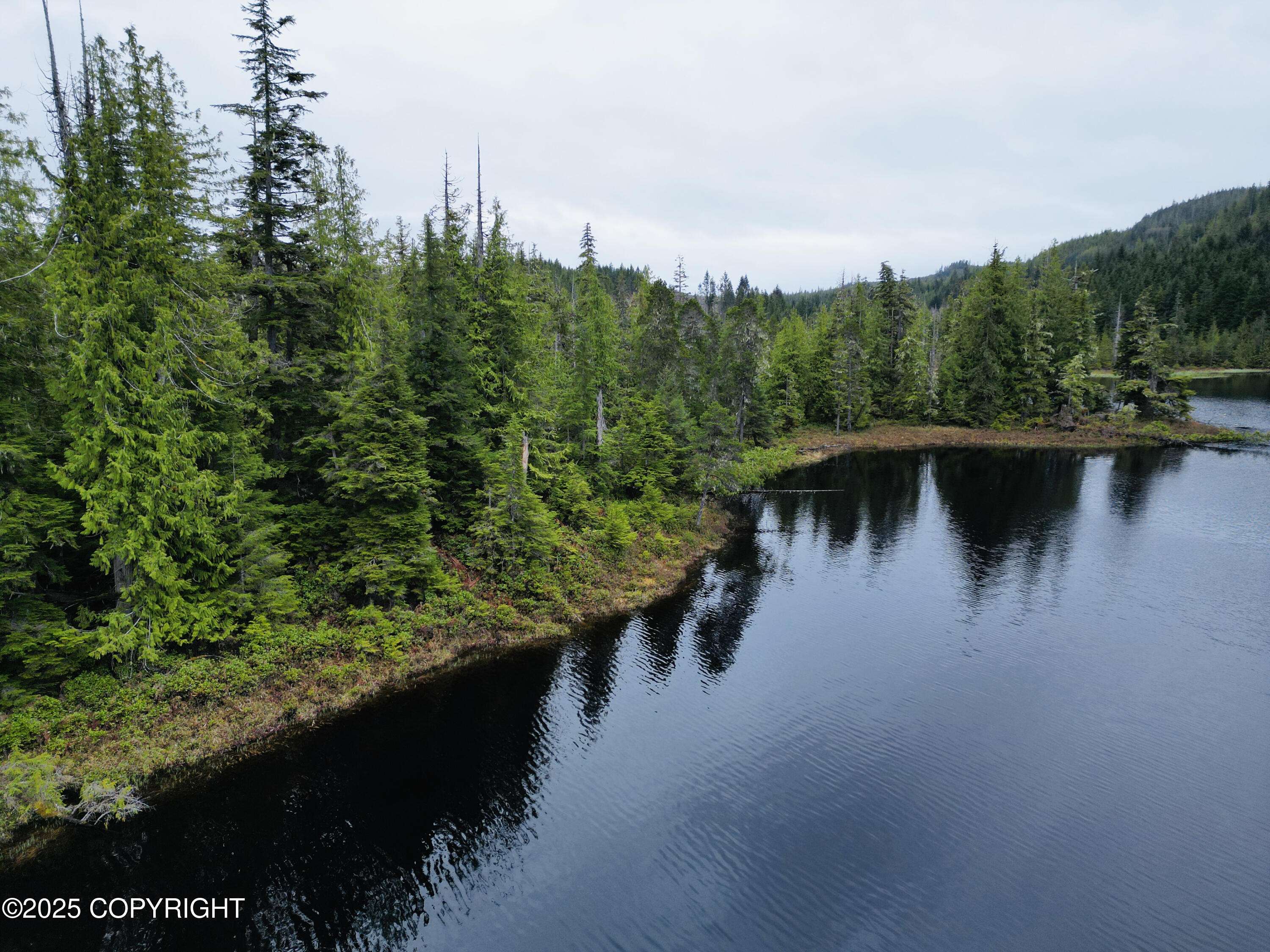Thorne Bay, AK 99919,L4B4 Setter Lake RD