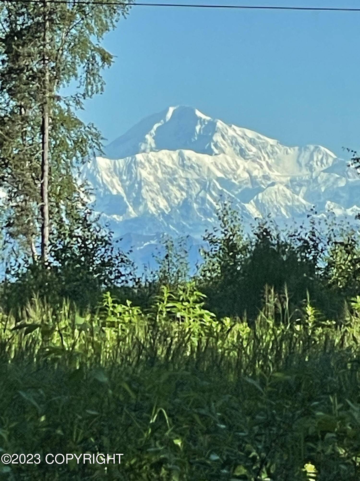 Trapper Creek, AK 99683,23265 S Jurasek DR