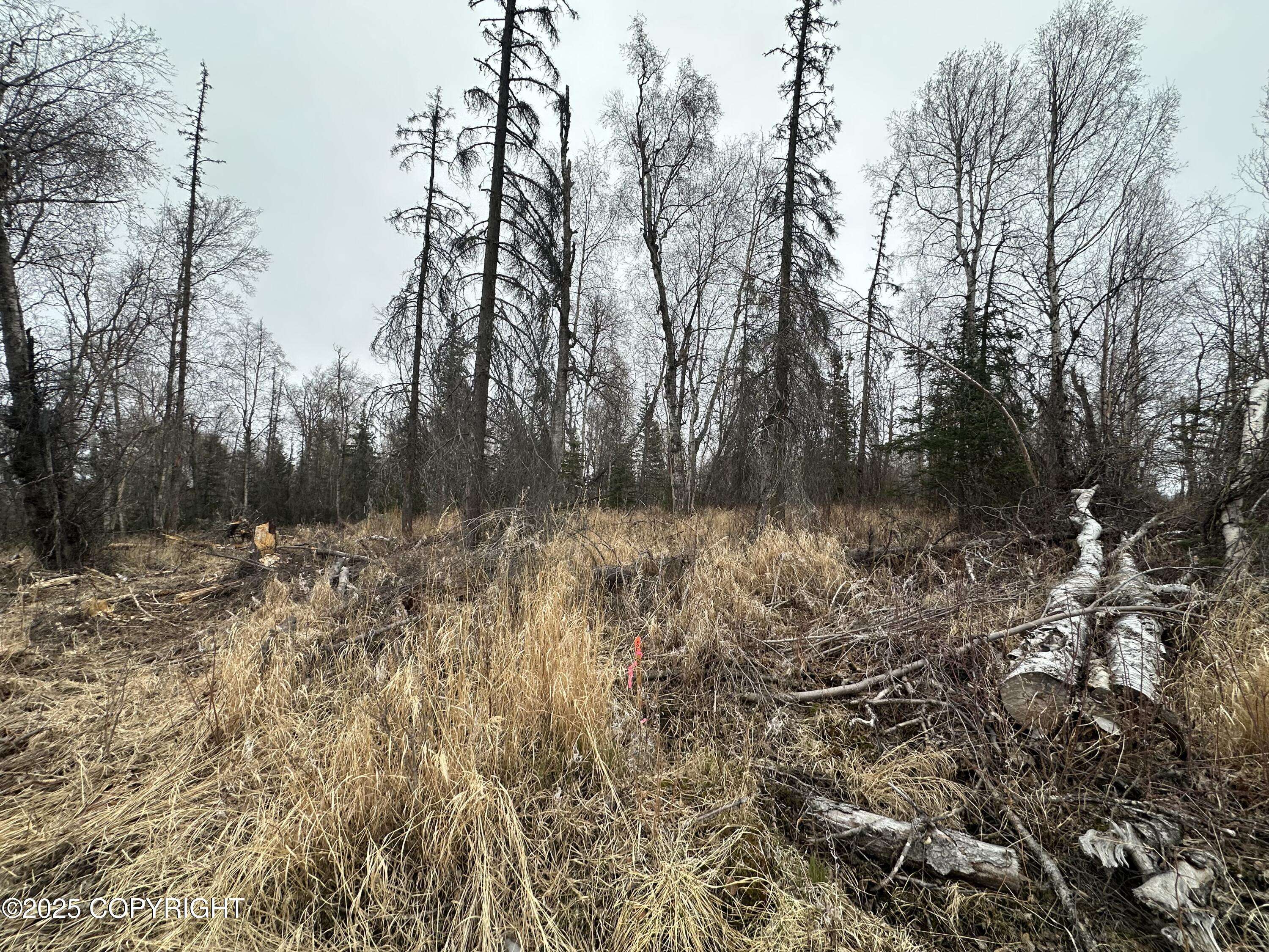 Wasilla, AK 99654,L3 B1 Asa Hills