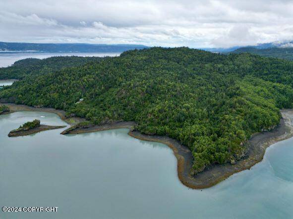 Homer, AK 99603,L2C Bear Cove