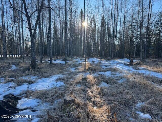 Soldotna, AK 99669,375 Diane LN