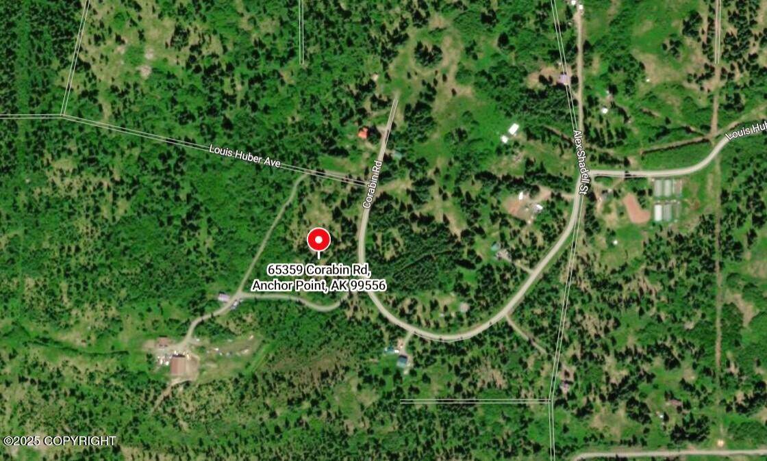 Anchor Point, AK 99556,65359 Corabin RD